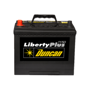 Batería 24-1150 12 Vdc 1100Ah