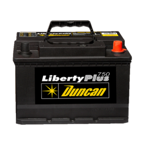 Batería 42R-800 12 Vdc 800Ah