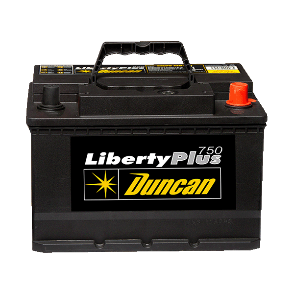 Batería 42R-800 12 Vdc 800Ah